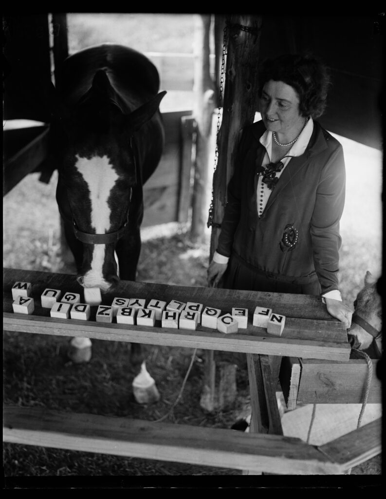 [Horse and woman with letter blocks] from the Library of Congress collection