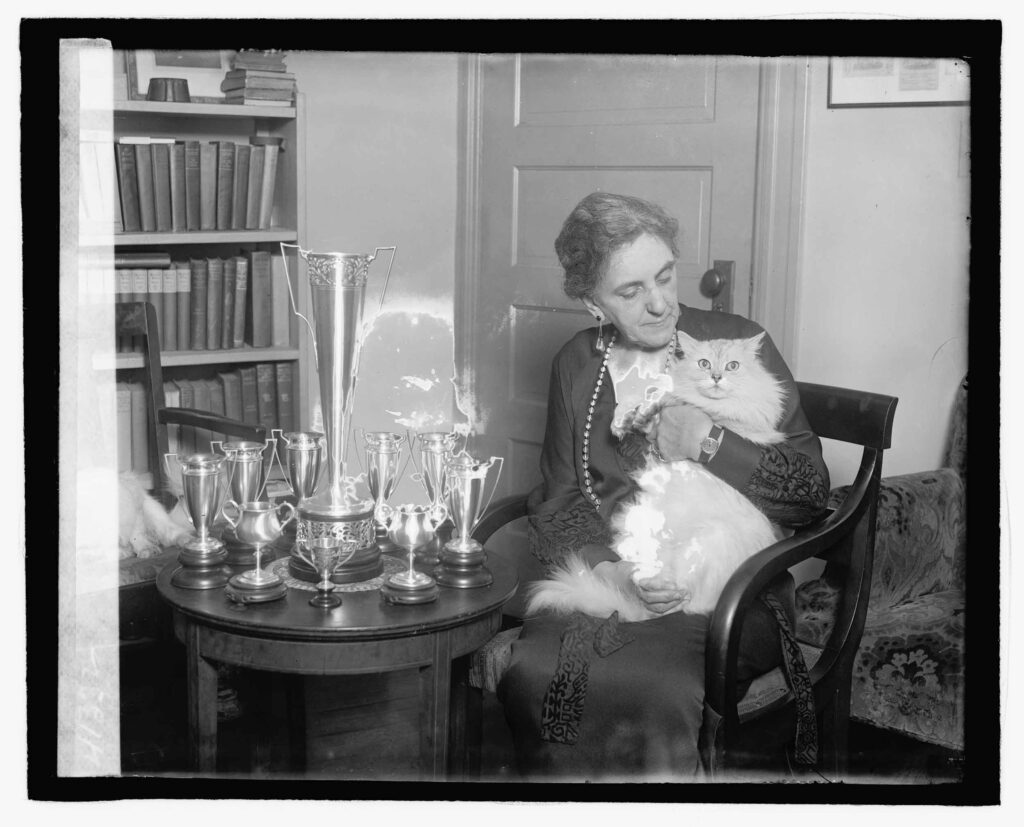 [Woman holding cat] from the Library of Congress collection